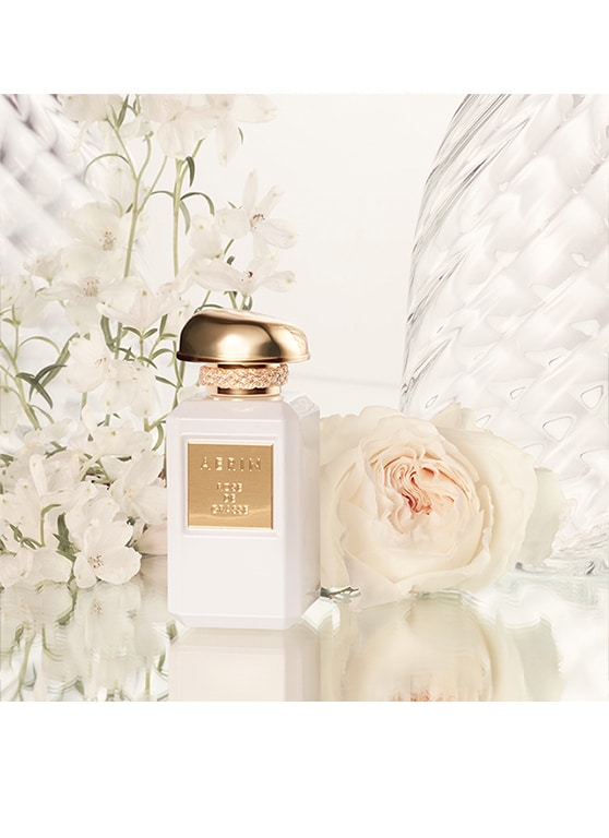aerin rose de grasse parfüm