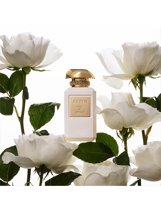 aerin rose de grasse parfüm